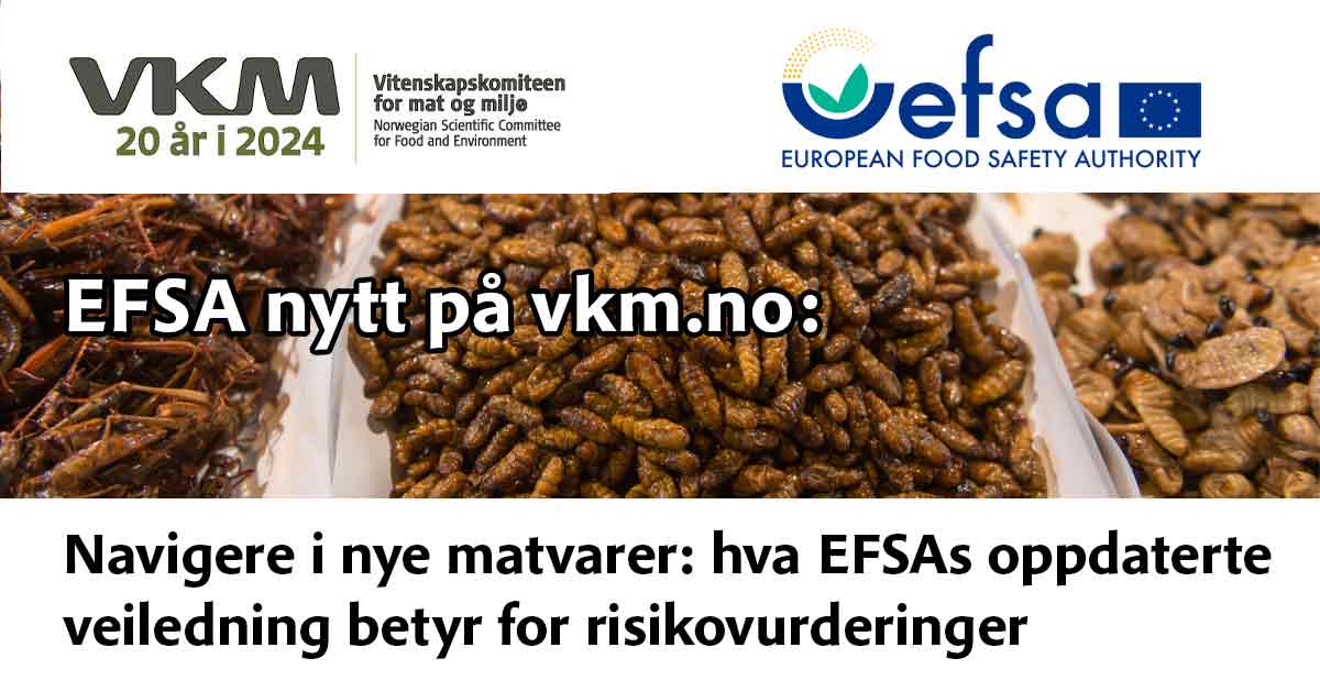 Bilde med insekter som mat og tekst: Navigere i nye matvarer: EFSAs oppdaterte veiledning 